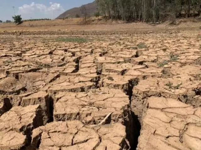 神健糧機(jī)——多地幾個(gè)月未降雨，會(huì)出現(xiàn)干旱嗎？